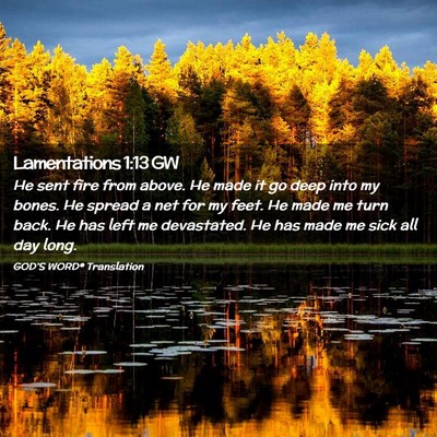 Picture 02 - Lamentations 1:13 GW - He sent fire from above. He made it go deep into - Bible Verse Picture