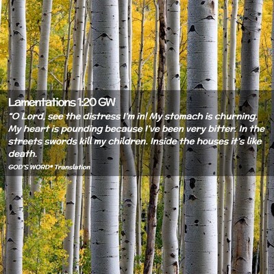 Picture 02 - Lamentations 1:20 GW - “O Lord, see the distress I’m in! My stomach - Bible Verse Picture