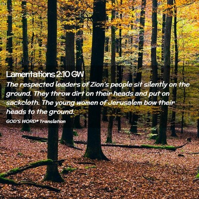 Picture 02 - Lamentations 2:10 GW - The respected leaders of Zion’s people sit - Bible Verse Picture