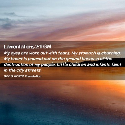 Picture 02 - Lamentations 2:11 GW - My eyes are worn out with tears. My stomach is - Bible Verse Picture