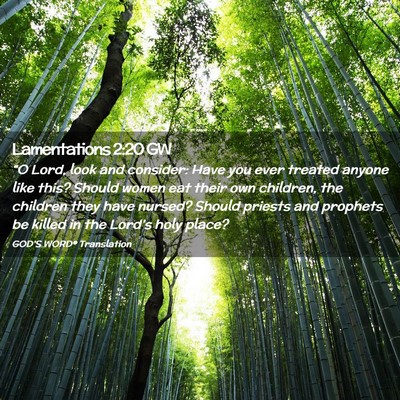 Picture 02 - Lamentations 2:20 GW - “O Lord, look and consider: Have you ever - Bible Verse Picture