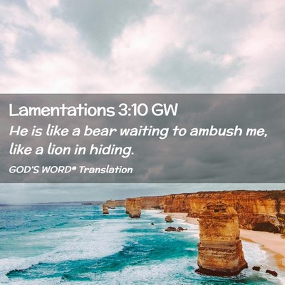 Picture 02 - Lamentations 3:10 GW - He is like a bear waiting to ambush me, like a - Bible Verse Picture