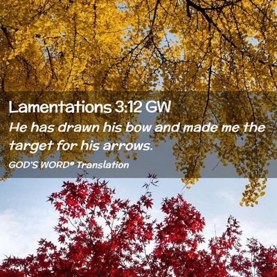 Picture 02 - Lamentations 3:12 GW - He has drawn his bow and made me the target for - Bible Verse Picture