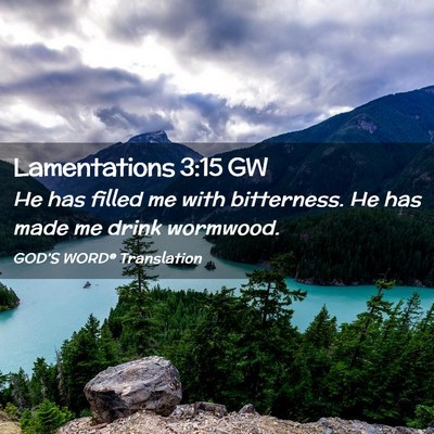 Picture 02 - Lamentations 3:15 GW - He has filled me with bitterness. He has made me - Bible Verse Picture