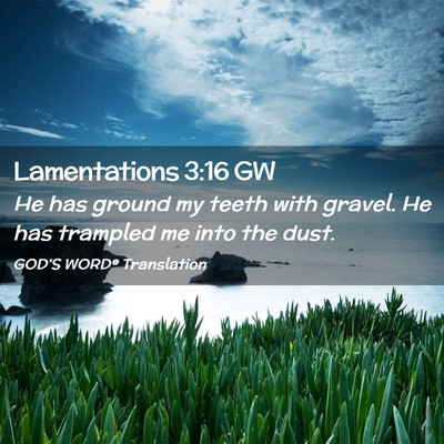 Picture 02 - Lamentations 3:16 GW - He has ground my teeth with gravel. He has - Bible Verse Picture