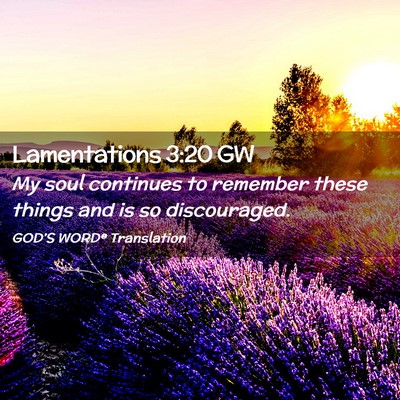 Picture 02 - Lamentations 3:20 GW - My soul continues to remember these things and is - Bible Verse Picture