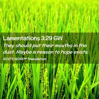 Picture 02 - Lamentations 3:29 GW - They should put their mouths in the dust. Maybe a - Bible Verse Picture