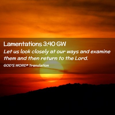 Picture 02 - Lamentations 3:40 GW - Let us look closely at our ways and examine them - Bible Verse Picture