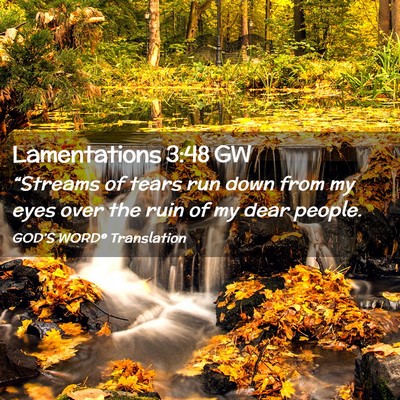 Picture 02 - Lamentations 3:48 GW - “Streams of tears run down from my eyes over - Bible Verse Picture