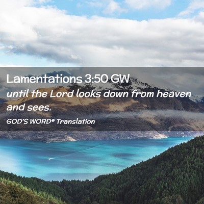 Picture 02 - Lamentations 3:50 GW - until the Lord looks down from heaven and - Bible Verse Picture