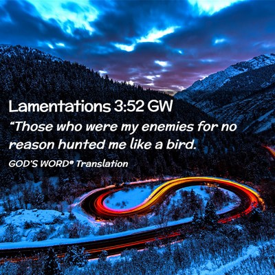 Picture 02 - Lamentations 3:52 GW - “Those who were my enemies for no reason hunted - Bible Verse Picture