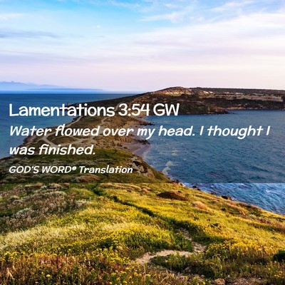 Picture 02 - Lamentations 3:54 GW - Water flowed over my head. I thought I was - Bible Verse Picture