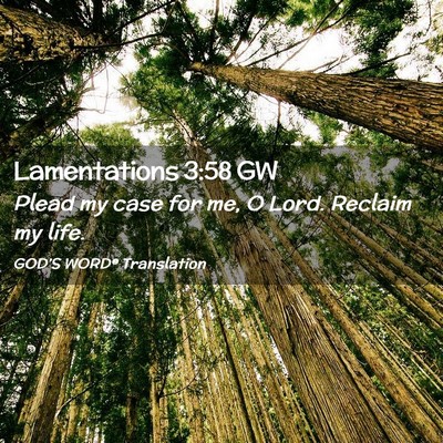 Picture 02 - Lamentations 3:58 GW - Plead my case for me, O Lord. Reclaim my - Bible Verse Picture