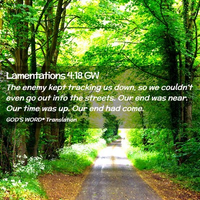 Picture 02 - Lamentations 4:18 GW - The enemy kept tracking us down, so we couldn’t - Bible Verse Picture