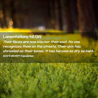 Picture 02 - Lamentations 4:8 GW - Their faces are now blacker than soot. No one - Bible Verse Picture