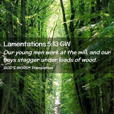 Picture 02 - Lamentations 5:13 GW - Our young men work at the mill, and our boys - Bible Verse Picture