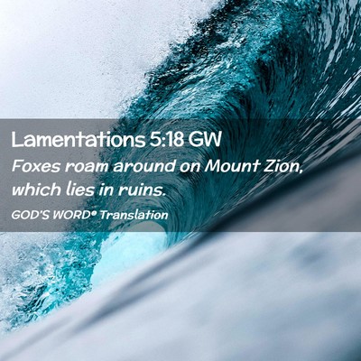 Picture 02 - Lamentations 5:18 GW - Foxes roam around on Mount Zion, which lies in - Bible Verse Picture