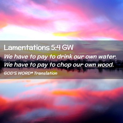 Picture 02 - Lamentations 5:4 GW - We have to pay to drink our own water. We have to - Bible Verse Picture