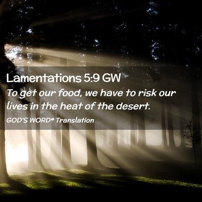 Picture 02 - Lamentations 5:9 GW - To get our food, we have to risk our lives in the - Bible Verse Picture