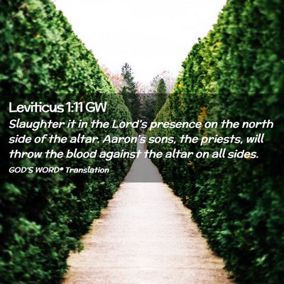 Picture 02 - Leviticus 1:11 GW - Slaughter it in the Lord’s presence on the - Bible Verse Picture