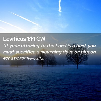 Picture 02 - Leviticus 1:14 GW - “If your offering to the Lord is a bird, you - Bible Verse Picture