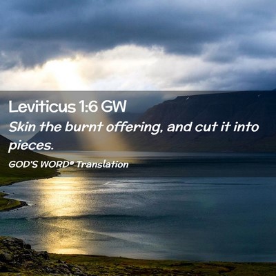 Picture 02 - Leviticus 1:6 GW - Skin the burnt offering, and cut it into - Bible Verse Picture