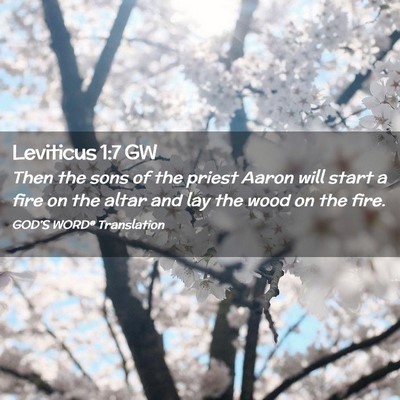 Picture 02 - Leviticus 1:7 GW - Then the sons of the priest Aaron will start a - Bible Verse Picture