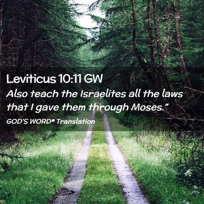 Picture 02 - Leviticus 10:11 GW - Also teach the Israelites all the laws that I - Bible Verse Picture