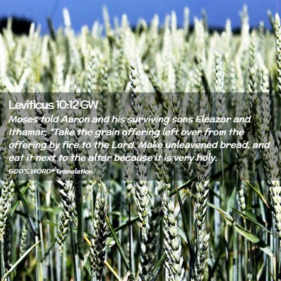Picture 02 - Leviticus 10:12 GW - Moses told Aaron and his surviving sons Eleazar - Bible Verse Picture