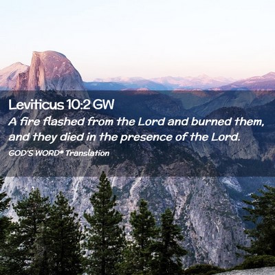 Picture 02 - Leviticus 10:2 GW - A fire flashed from the Lord and burned them, and - Bible Verse Picture