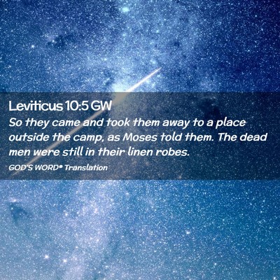Picture 02 - Leviticus 10:5 GW - So they came and took them away to a place - Bible Verse Picture