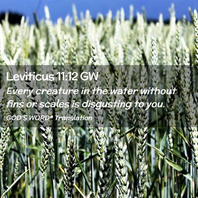 Picture 02 - Leviticus 11:12 GW - Every creature in the water without fins or - Bible Verse Picture