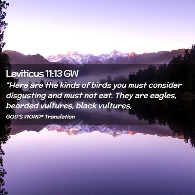 Picture 02 - Leviticus 11:13 GW - “Here are the kinds of birds you must consider - Bible Verse Picture