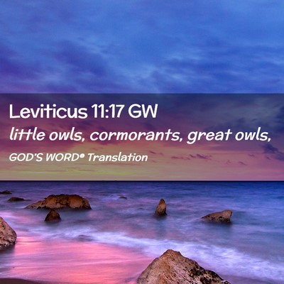 Picture 02 - Leviticus 11:17 GW - little owls, cormorants, great - Bible Verse Picture