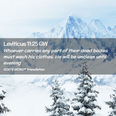 Picture 02 - Leviticus 11:25 GW - Whoever carries any part of their dead bodies - Bible Verse Picture