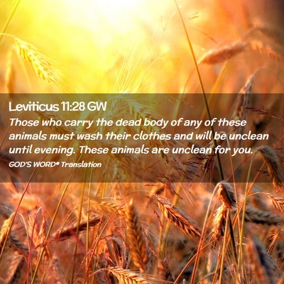 Picture 02 - Leviticus 11:28 GW - Those who carry the dead body of any of these - Bible Verse Picture