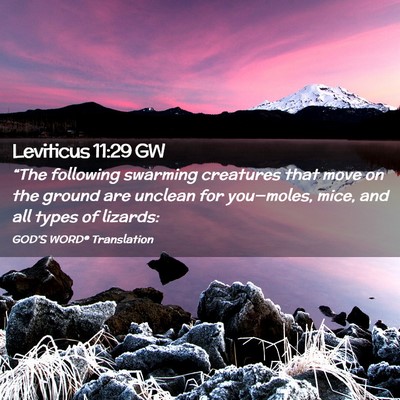 Picture 02 - Leviticus 11:29 GW - “The following swarming creatures that move on - Bible Verse Picture