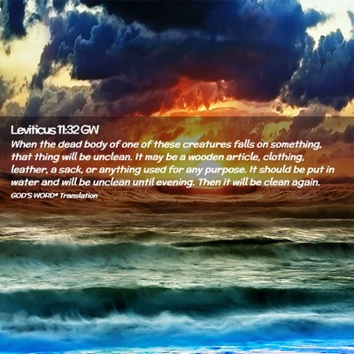 Picture 02 - Leviticus 11:32 GW - When the dead body of one of these creatures - Bible Verse Picture