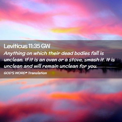 Picture 02 - Leviticus 11:35 GW - Anything on which their dead bodies fall is - Bible Verse Picture