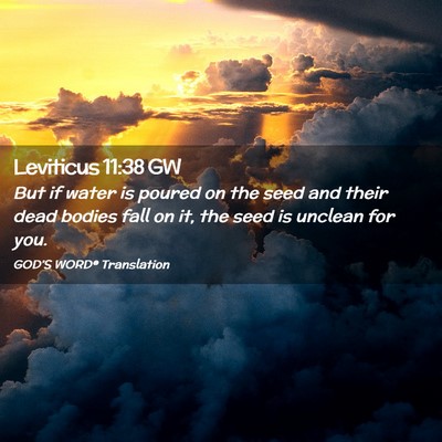 Picture 02 - Leviticus 11:38 GW - But if water is poured on the seed and their dead - Bible Verse Picture