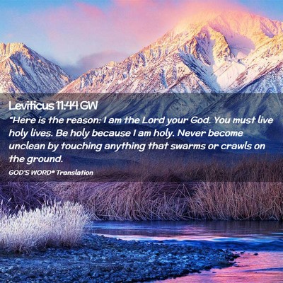 Picture 02 - Leviticus 11:44 GW - “Here is the reason: I am the Lord your God. - Bible Verse Picture