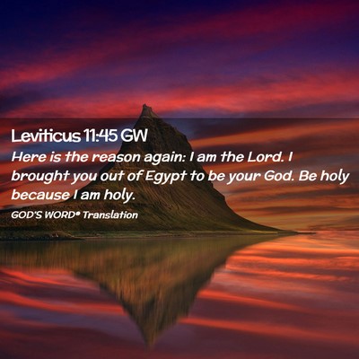 Picture 02 - Leviticus 11:45 GW - Here is the reason again: I am the Lord. I - Bible Verse Picture