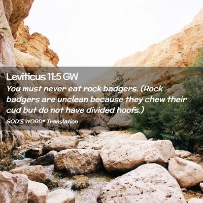 Picture 02 - Leviticus 11:5 GW - You must never eat rock badgers. (Rock badgers - Bible Verse Picture