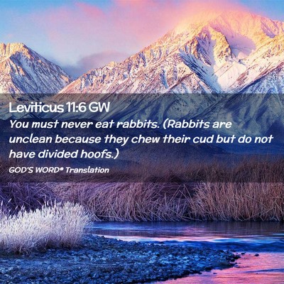 Picture 02 - Leviticus 11:6 GW - You must never eat rabbits. (Rabbits are unclean - Bible Verse Picture