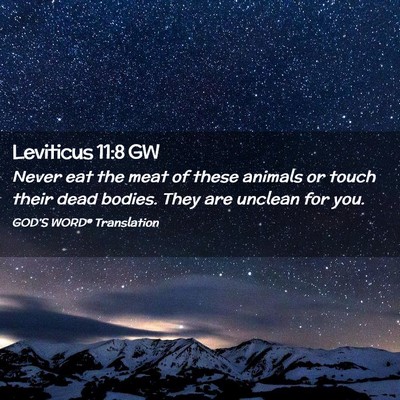 Picture 02 - Leviticus 11:8 GW - Never eat the meat of these animals or touch - Bible Verse Picture