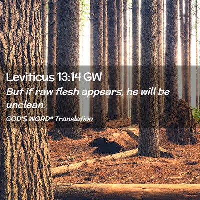 Picture 02 - Leviticus 13:14 GW - But if raw flesh appears, he will be - Bible Verse Picture