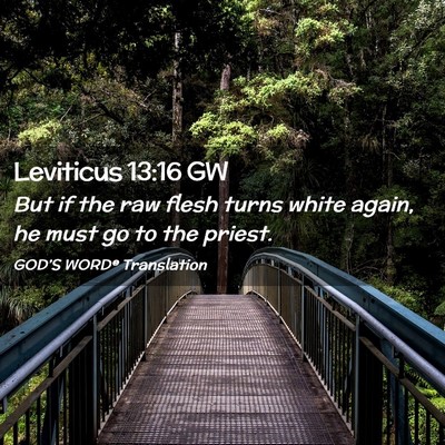 Picture 02 - Leviticus 13:16 GW - But if the raw flesh turns white again, he must - Bible Verse Picture
