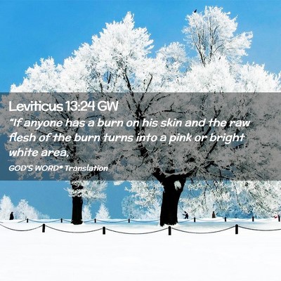 Picture 02 - Leviticus 13:24 GW - “If anyone has a burn on his skin and the raw - Bible Verse Picture