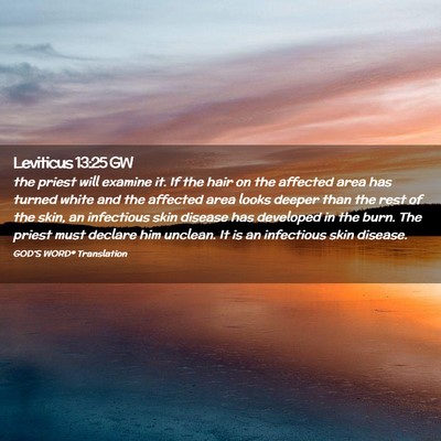 Picture 02 - Leviticus 13:25 GW - the priest will examine it. If the hair on the - Bible Verse Picture
