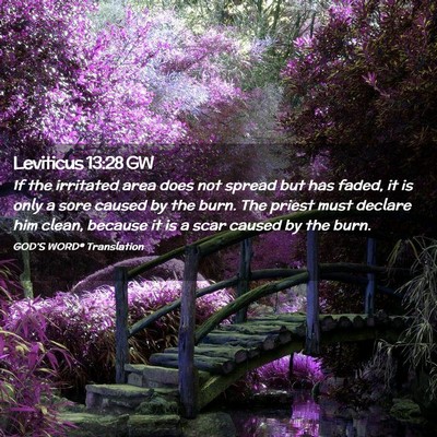 Picture 02 - Leviticus 13:28 GW - If the irritated area does not spread but has - Bible Verse Picture